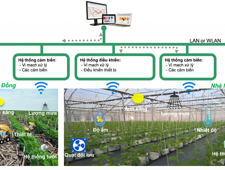 🎮 Hệ Thống Tưới Tự Động – Thông Minh